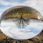 2017 Predictions for Project Management